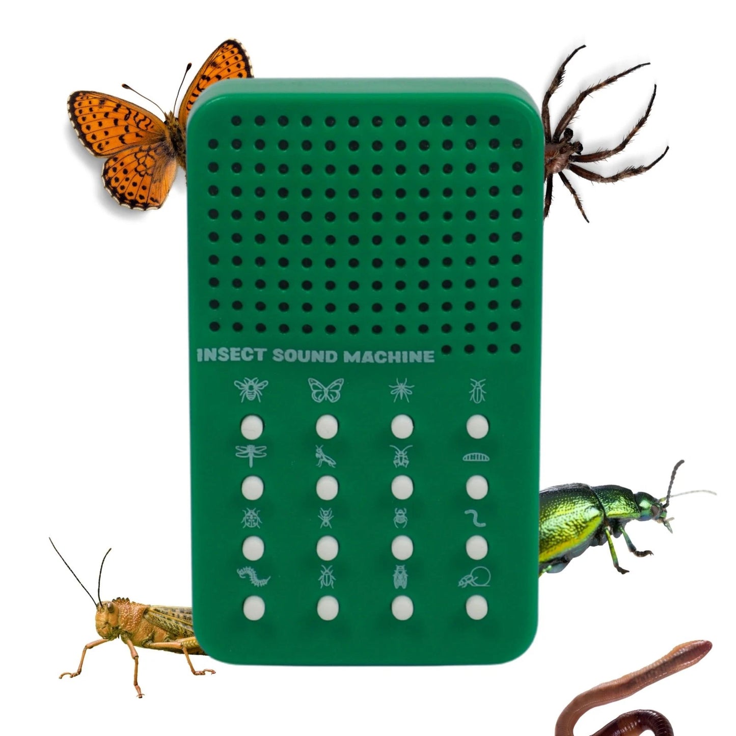 Have one to sell? Sell one like this Sell something else Share Insect Sound Machine - Noisemaker with 16 Sounds
